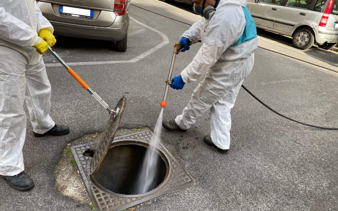 Disinfestazione Blatte Siracusa