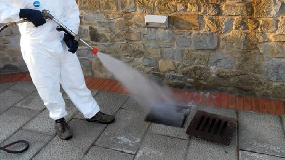 Disinfestazione Blatte Ragusa