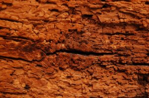 disinfestazione tarli agrigento